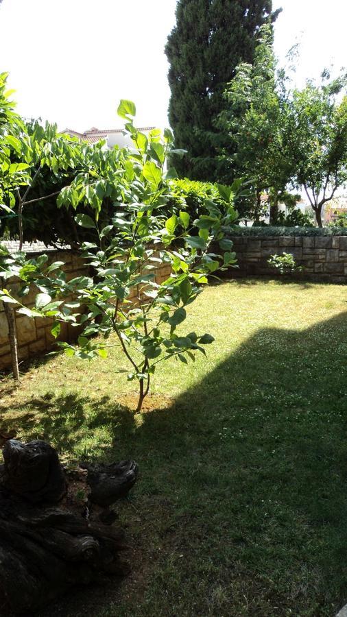 רוביני Studio Apartments Ana מראה חיצוני תמונה