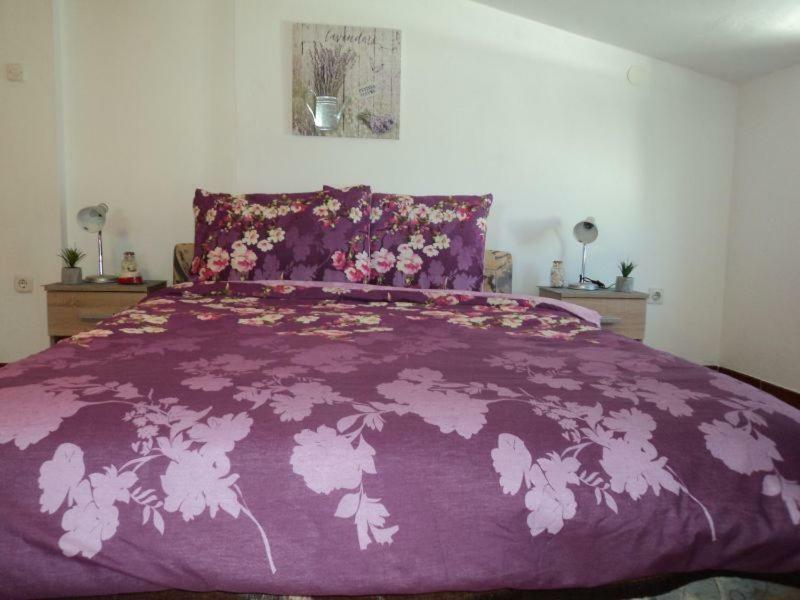רוביני Studio Apartments Ana מראה חיצוני תמונה